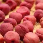 梅について聞きたいならここ！みなべ町の「梅」を知るプロ達