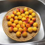 チャレンジ！梅漬け素人主婦がやってみるシリーズ。