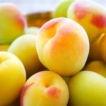 なに、それ、面白い！？やっぱりみんな、「梅」が好き。みなべ町珍風景5選