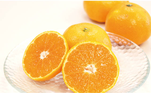 有田みかん｜人気の甘いみかんなら和歌山有田の早和果樹園 (370)