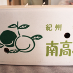 チャレンジ！梅漬け素人主婦がやってみるシリーズ。第３回 -完熟梅酒-