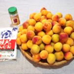 チャレンジ！梅漬け素人主婦がやってみるシリーズ。 第５回 -塩漬け(赤梅干し)-