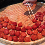 チャレンジ！梅漬け素人主婦がやってみるシリーズ。 第11回 -梅を干す その2-